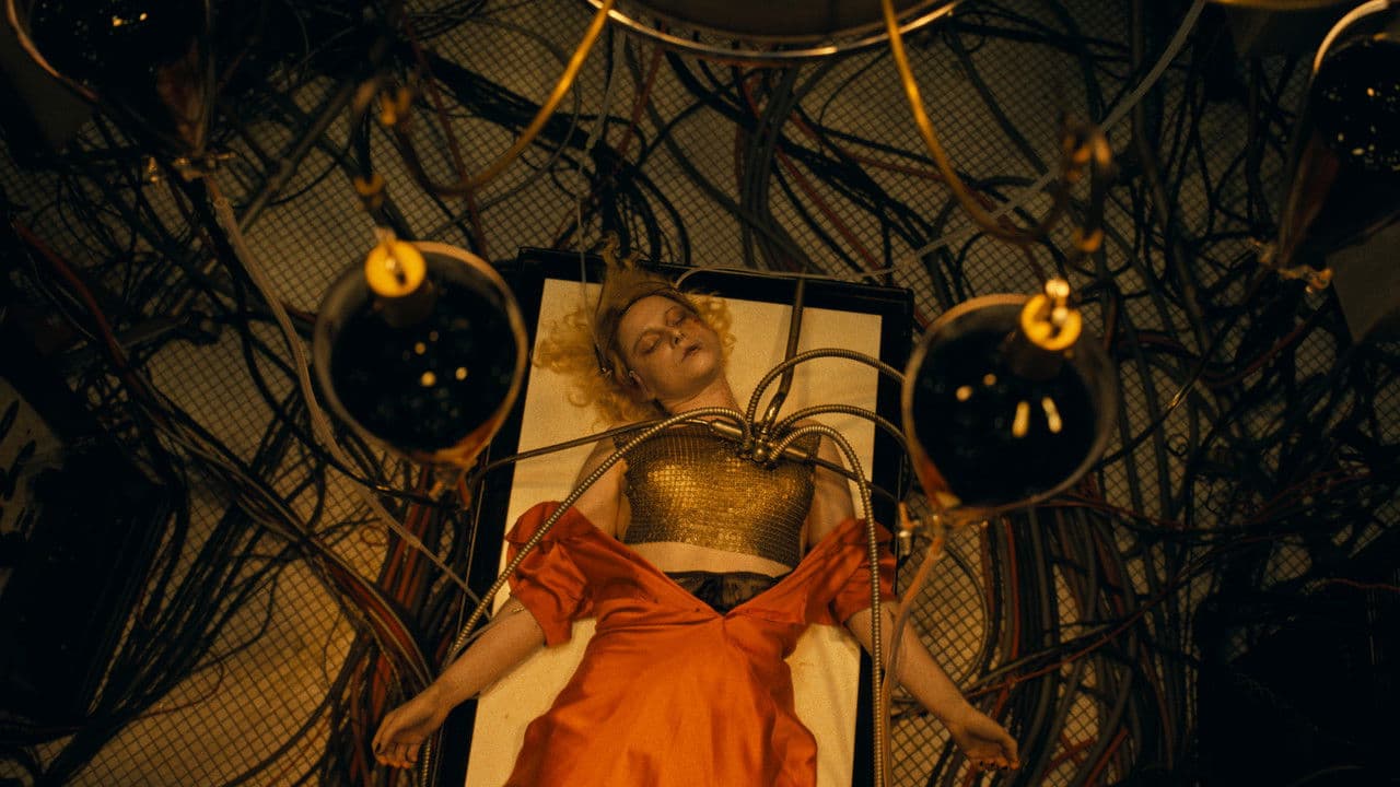 ¡La novia! backdrop