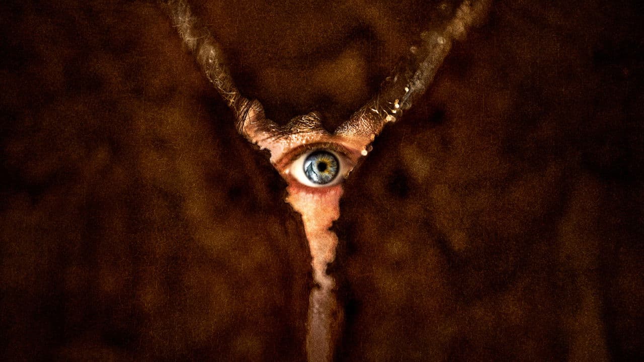 Return to Silent Hill backdrop