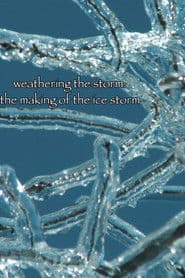 Weathering the Storm: The Making of The Ice Storm